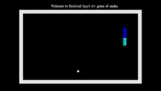 Snake Game VPython Computer Programming Project