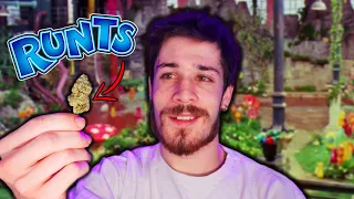 I found the original runtz strain