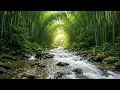 Peaceful Bamboo Tunnel River Sounds 🌿 Relaxing Water Flow for Deep Sleep & Stress Relief