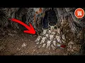 25 Mysterious Discoveries Found Deep Underground