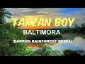 Baltimora - Tarzan Boy (Barron Rainforest Remix)