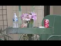 A surprise Fresno neighborhood shocked to learn son arrested for mother s death