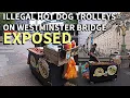 Download Lagu WESTMINSTER BRIDGE Hot dog scammers EXPOSED #london #public #uk