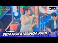 Lagu SETANGKAI BUNGA PADI - AURA SEKAR - LIVE SIMPATIK MUSIC KLK AUDIO -CASTIELO PEKALONGAN