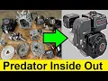 Predator Inside Out