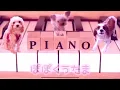 『離したくはない』【T-BOLAN】 Piano cover