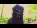 Take Banana- D'Prince