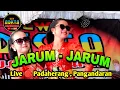 Download Lagu Jarum Jarum || Ndolalakan || New Arista Music || Banjarnegara || Live 🔴 Padaherang , Pangandaran