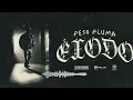 Peso Pluma - Bruce Wayne ( SLOWED )