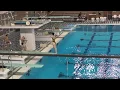 Back Flip One and a Half Twist, 1 Meter