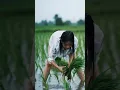 Download Lagu ASMR