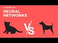 How to use AI to classify images with Tensorflow Keras 1