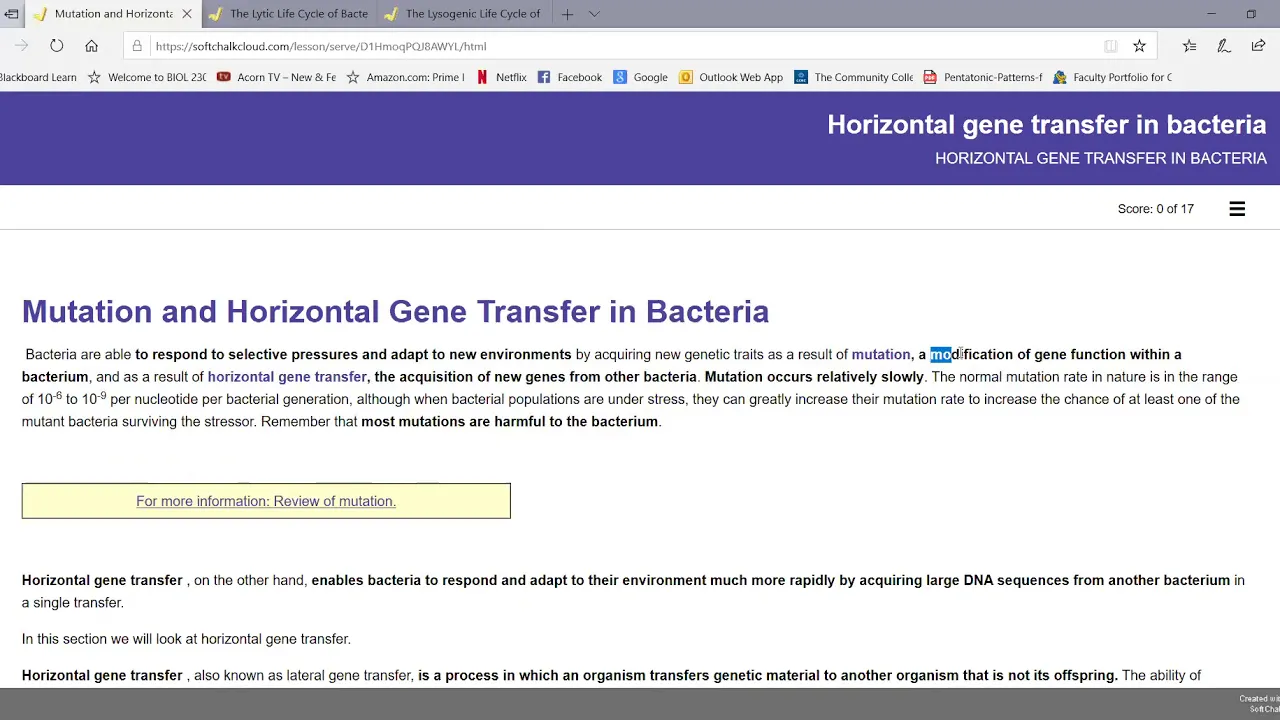 Horizontal Gene Transfer in Bacteria