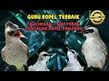 Download Lagu PANCINGAN + MASTERAN TRUCUKAN UPLIK UPLIK ROPEL PANJANG