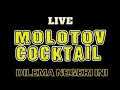 Download Lagu Molotov Cocktail - Dilema Negeri Ini (Kampus Jayabaya)