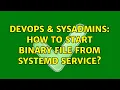 DevOps SysAdmins How to start binary file from Systemd service