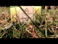 White Barn Candle - Bath and Body Works Commercial