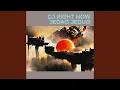 Download Lagu Dj Right Now Jedag Jedug