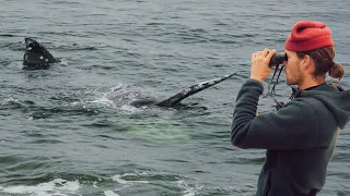 A Huge Surprise In The Water…