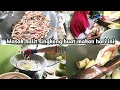 Download Lagu Rutinitas harian irt di pagi hari#belanjaharianhemat