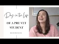 Day in the Life of a Pre-Vet Student - what to look for in shadow experience