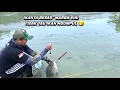 Lagu Banyak yang mancing tapi tidak tau warga ikan besar ngumpul