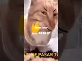 Download Lagu alarm Sahur🗿 #shorts #meme #sahur #motogp