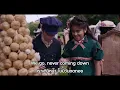 Angus & Julia Stone - Chateau เพลงสากลเเปลไทย