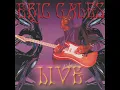 The Liar (Live)