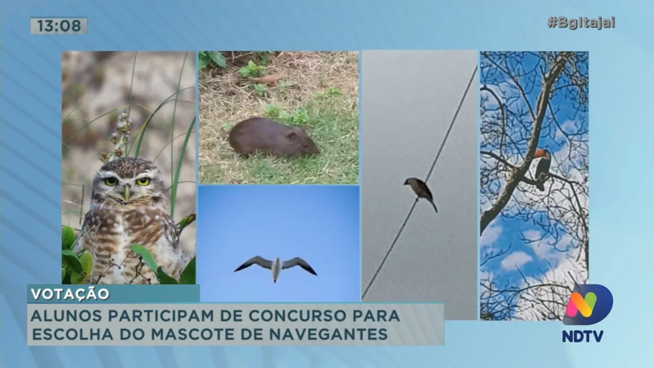 Alunos participam de concurso para escolha do mascote de Navegantes