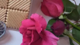 تعليم شغل الكنفاة ع الشبكةالبلاستيك والنتيجة ممتازه Teaching Kunafa Work On Plastic Mesh 