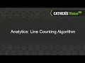 CathexisVision Analytics The Line Counting Algorithm