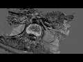 Converting MRI Scan Data to a 3D Mesh Using Python OpenCV and skimage