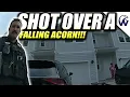 Cop Opens Fire On Suspect Due To An Acorn Falling From A Tree Not Click Bait