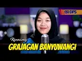 Download Lagu GRAJAGAN - AFIFFAH - COVER KERONCONG