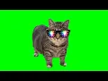 Download Lagu OIIA TECHNO CAT (Bemax Remix)