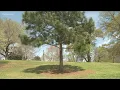 Verify Is allergy season worse than usual