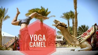 Download Yoga with a Camel MP3