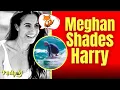 Download Lagu Meghans surfvideo schendt de privacy van Prins Harry!