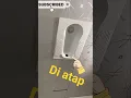 Download Lagu WC diatas atap #kucing #home #kucinglucu #pets #cute #funny #faktaunik #hiburanrakya #viral