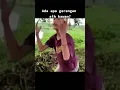 Download Lagu Ada apa gerangan sih kawan?