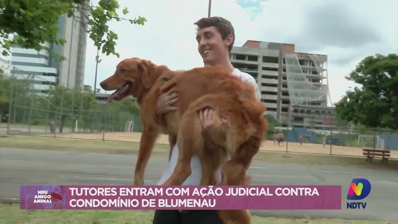 Meu Amigo Animal: tutores entram com ação judicial após cão ser proibido de andar em condomínio