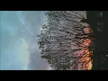 MoM & ANuT - Madera (Just Emma Cartago Mix)