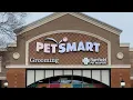 Petco Vs Petsmart Good or Bad