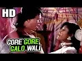 Gore Gore Galo Wali | Abhijeet, Poornima | Hatyara 1998 Songs | Mithun Chakraborty