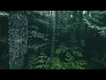 Download Lagu Anueta-Lelah Tanpa Asa (Clip Video)