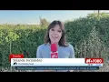 What Caused the Train Crash in Spain?: What We Know About the Accident in Toledo