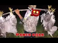 Download Lagu Berburu burung koak tambak