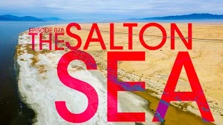 Piles of Dead Fish at the Salton Sea – Van Life 078