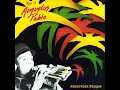 augustus pablo - Dub Orginaizer